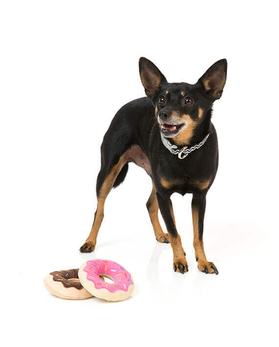 Mordedor para perro - Donuts FuzzYard